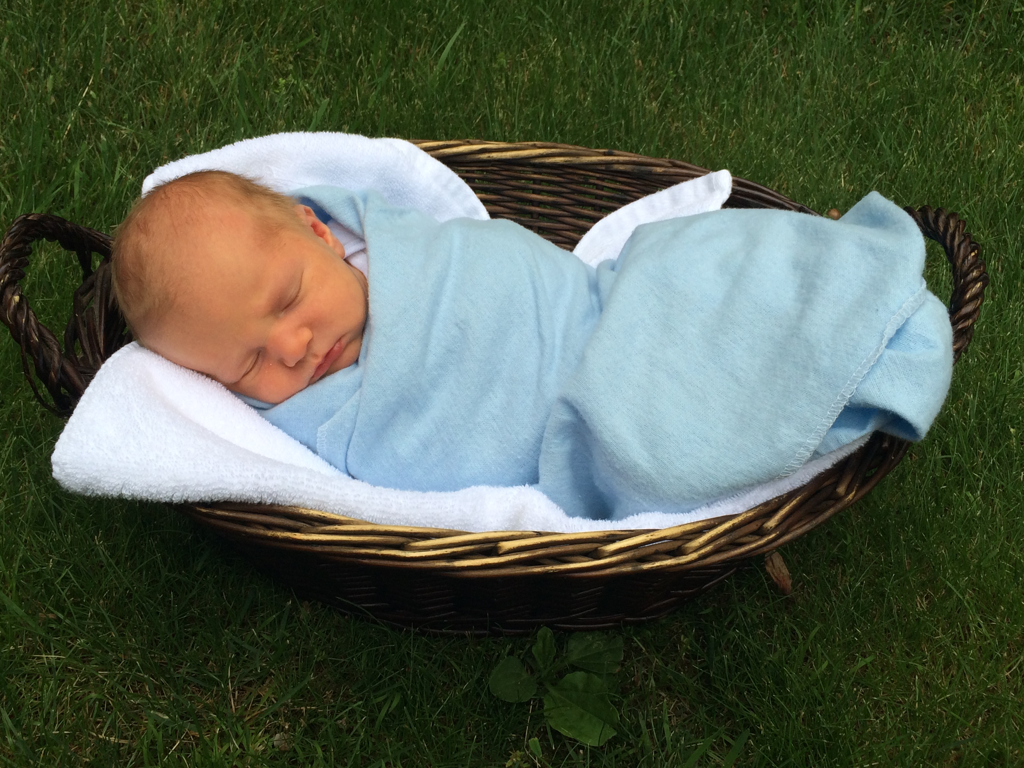 Owen Patrick Woering