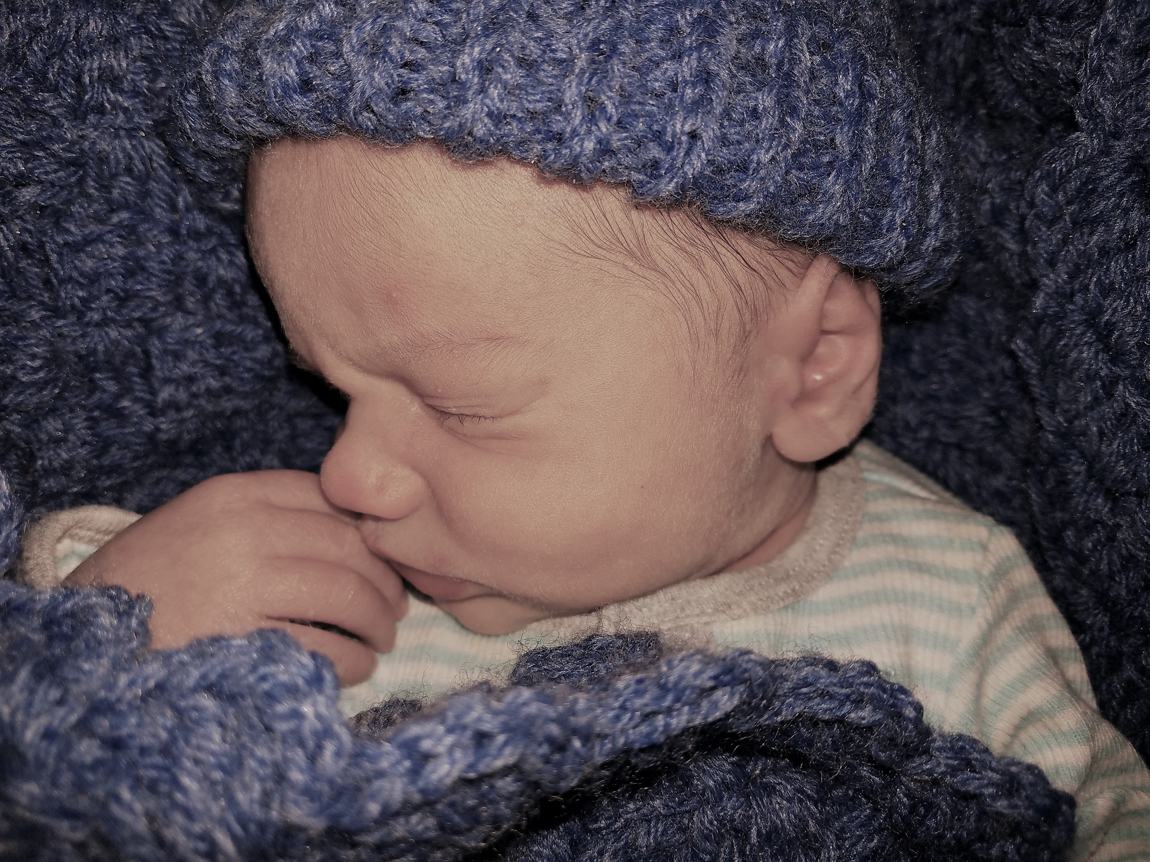 Kaius William Eltz